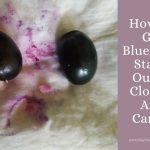 How To Get Blueberry Stains Out Of Clothes And Carpet