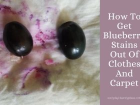 How To Get Blueberry Stains Out Of Clothes And Carpet