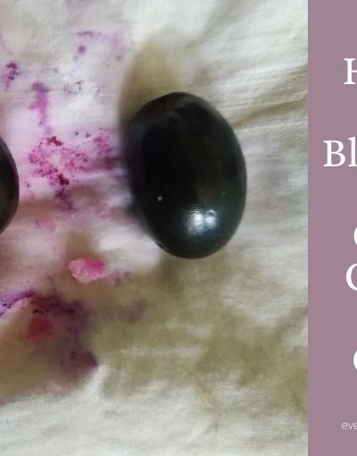 How To Get Blueberry Stains Out Of Clothes And Carpet