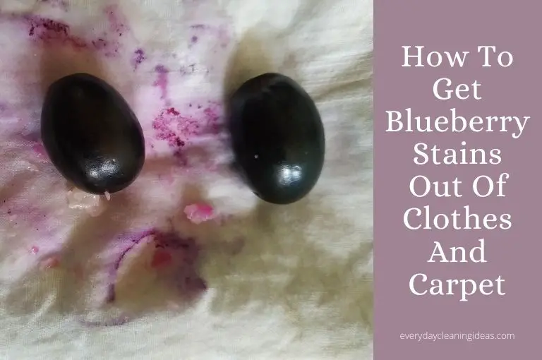 How To Get Blueberry Stains Out Of Clothes And Carpet