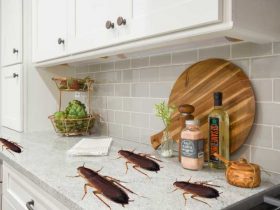 How To Get Rid Of Cockroaches In Kitchen Cabinets