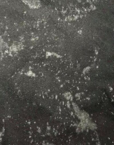 How To Remove Mold Stains From Fabric