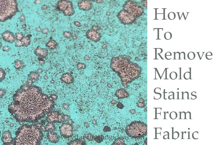 How To Remove Mold Stains From Fabric My Lessons From 100 Experiments