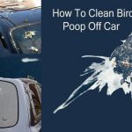 How To Clean Bird Poop Off Car