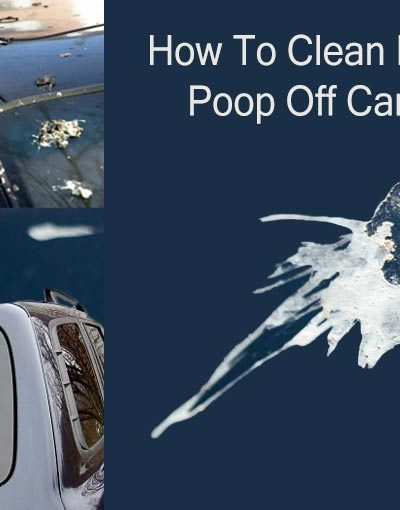 How To Clean Bird Poop Off Car