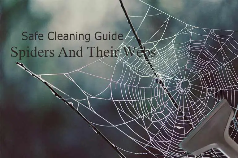How To Get Rid Of Spiders And Their Webs From Your House