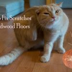 How to Fix Scratches on Hardwood Floors
