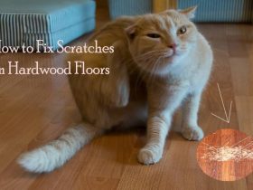 How to Fix Scratches on Hardwood Floors