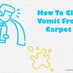 How To Clean and Remove Vomit Stains From Carpet