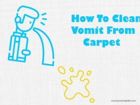 How To Clean and Remove Vomit Stains From Carpet