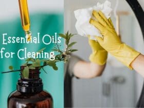 cleaning and disinfecting essential oils