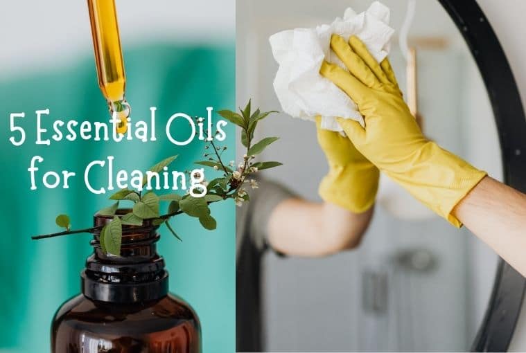 cleaning and disinfecting essential oils