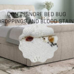 How to Remove Bed Bug Droppings And Blood Stains