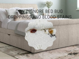 How to Remove Bed Bug Droppings And Blood Stains