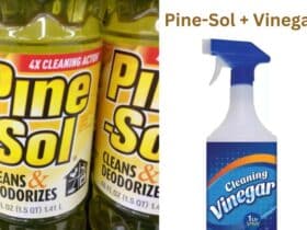 Can You Mix Pine-Sol and Vinegar