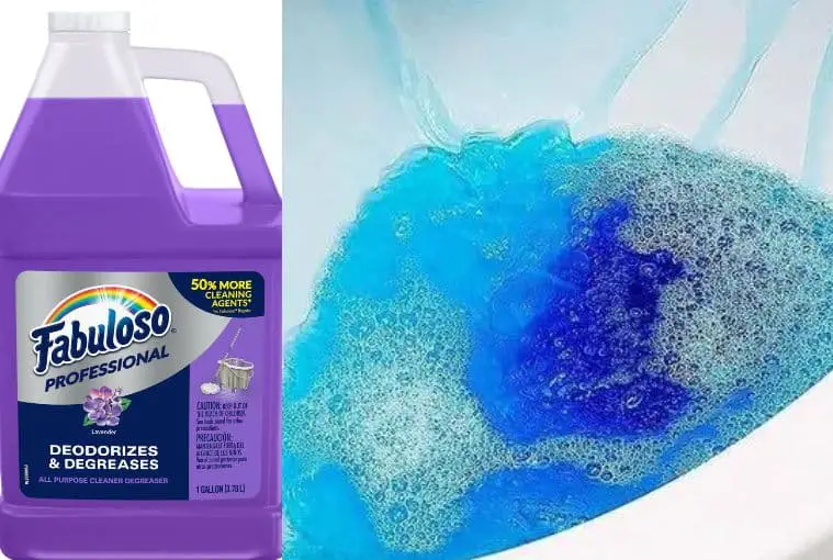 Can You Use Fabuloso to Clean the Toilet Bowl