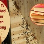 How to Clean Roach Poop from Walls, Wood, Books, and Cabinets