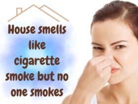 House smells like cigarette smoke but no one smokes