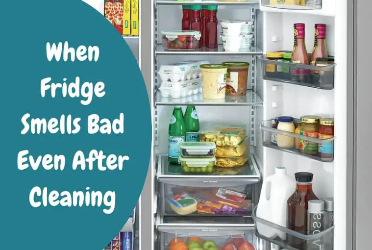 When Your Fridge Smells Bad (Even After Cleaning): 11 Solutions