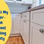 Why Under-Sink Cabinet Smelling Musty