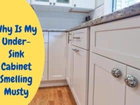 Why Under-Sink Cabinet Smelling Musty