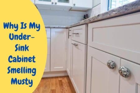 Why Is My Under-Sink Cabinet Smelling Musty? Find Out Now!