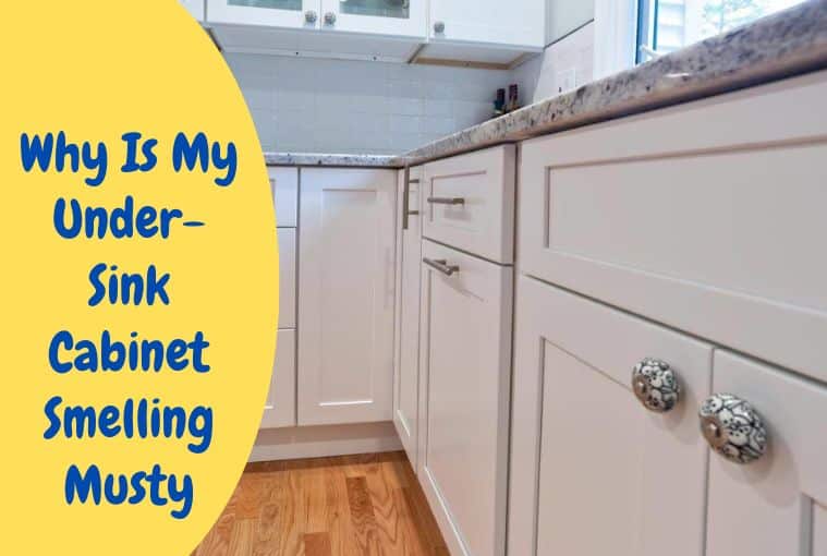 Why Under-Sink Cabinet Smelling Musty